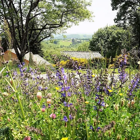 Domaine Des Marequiers Pimprenelle Saint-Germain-du-Teil