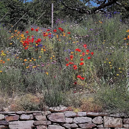 Bed & Breakfast Domaine Des Marequiers Pimprenelle Saint-Germain-du-Teil