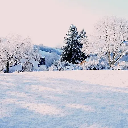 Domaine Des Marequiers Pimprenelle Bed & Breakfast Saint-Germain-du-Teil
