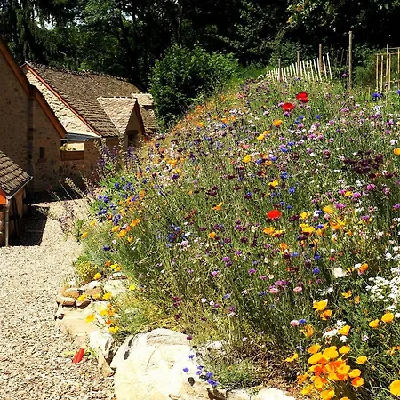 Bed & Breakfast Domaine Des Marequiers Pimprenelle Saint-Germain-du-Teil