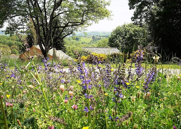 Domaine Des Marequiers Pimprenelle Saint-Germain-du-Teil