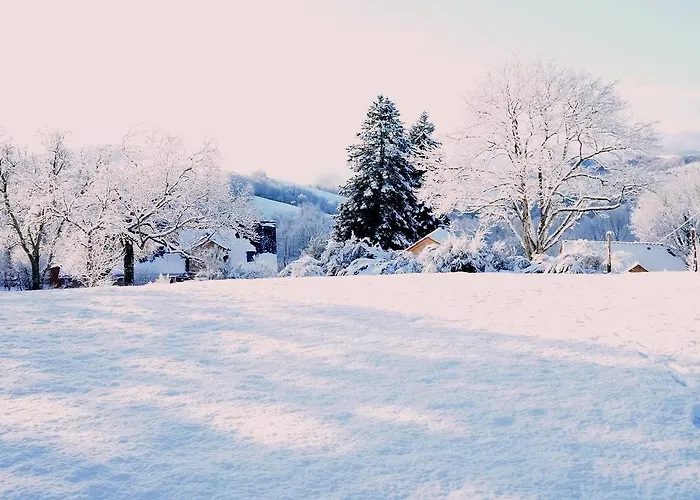 Domaine Des Marequiers Pimprenelle Alojamento de Acomodação e Pequeno-almoço Saint-Germain-du-Teil