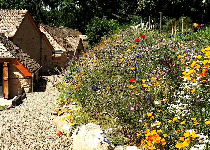 Alojamento de Acomodação e Pequeno-almoço Domaine Des Marequiers Pimprenelle Saint-Germain-du-Teil